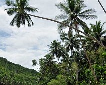 Loboc 2 Bohol